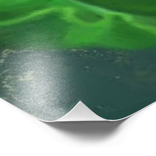 Schöne Blume Calla Lily - Migne Kunst Zeichnend Fotodruck (Ecke)