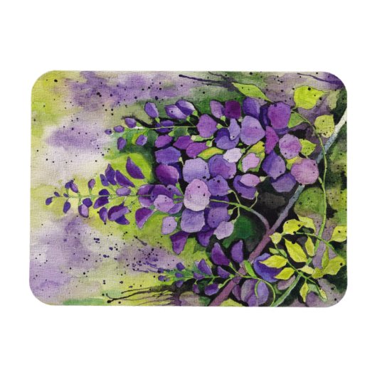 Schöne Blume der Wisteria Magnet (Horizontal)