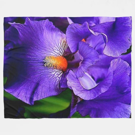 SCHÖNE BLUME FLEECEDECKE (Vorderseite (Horizontal))