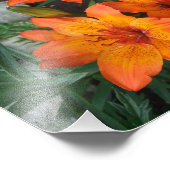 Schöne Blume Foto drucken (Ecke)