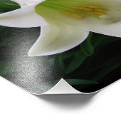 Schöne Blume Foto drucken (Ecke)