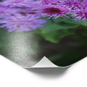 Schöne Blume Foto drucken (Ecke)