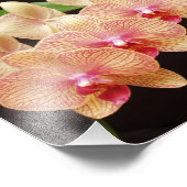 Schöne Blume Foto drucken (Ecke)