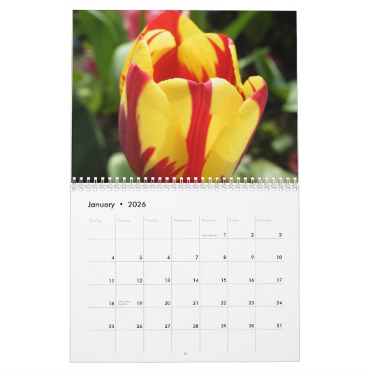 Schöne Blume Fotografie Kalender (Jan 2026)