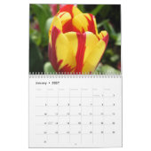 Schöne Blume Fotografie Kalender (Jan 2027)