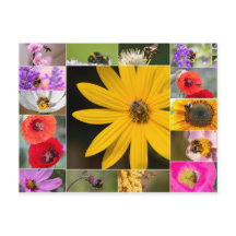 Schöne Blume für Frühling und Sommer Gefühl!