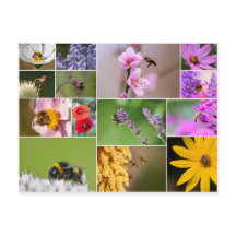 Schöne Blume für Frühling und Sommer Gefühl!