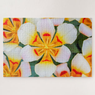 Schöne Blume in Weiß, Orange und Rot Puzzle