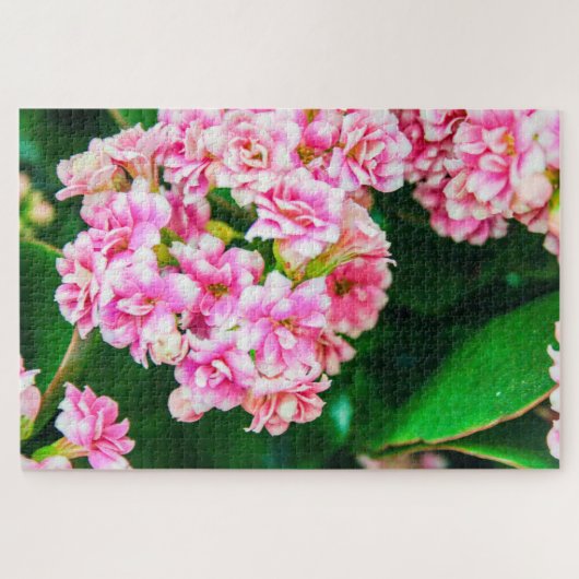 Schöne Blume in Weiß und Rosa Puzzle (Horizontal)