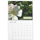 Schöne Blume Kalender (Jan 2027)