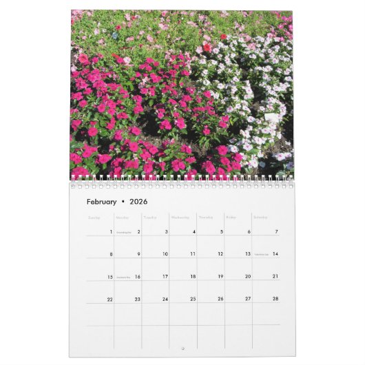 Schöne Blume Kalender (Feb 2026)