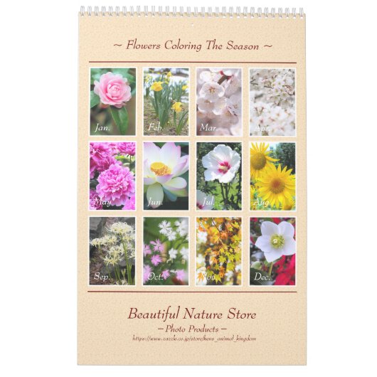 Schöne Blume Kalender Beste: Typ-A-レダ (Rückseite)