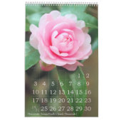 Schöne Blume Kalender Beste: Typ-A-レダ (Jan 2027)