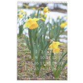 Schöne Blume Kalender Beste: Typ-A-レダ (Feb 2027)
