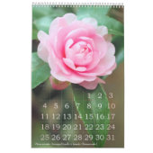 Schöne Blume Kalender Beste: Typ-A-レダ (Jan 2026)