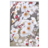 Schöne Blume Kalender Beste: Typ-C-レダ (Feb 2027)