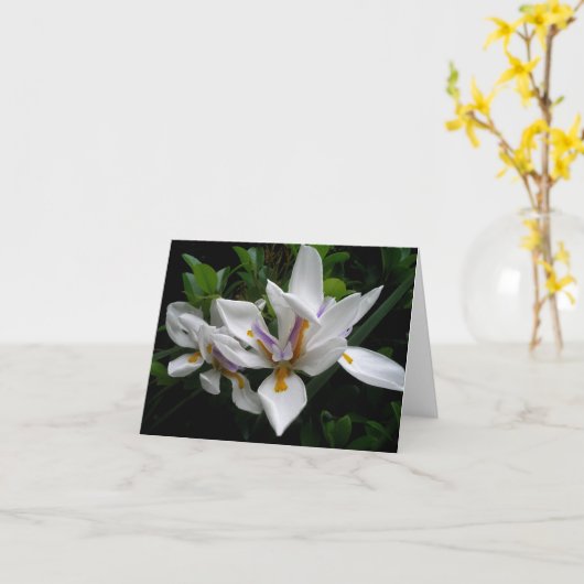 Schöne Blume Karte (Gelbe Blume)