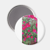 Schöne Blume Magnet (Vorderseite/Rückseite)