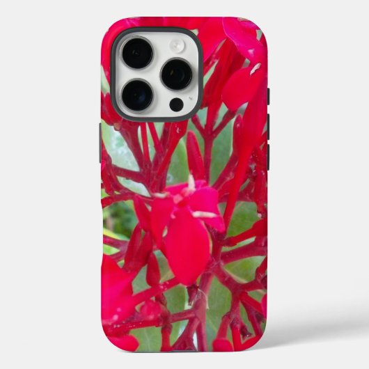 Schöne Blume Milkweed Art Print/Graphic Case-Mate iPhone Hülle (Rückseite)