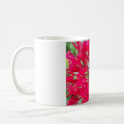 Schöne Blume Milkweed Art Print/Graphic Kaffeetasse (Links)