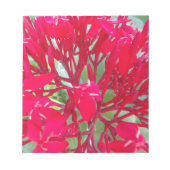 Schöne Blume Milkweed Art Print/Graphic Notizblock (Vorderseite)