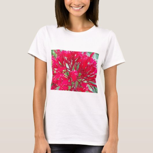 Schöne Blume Milkweed Art Print/Graphic T-Shirt (Vorderseite)