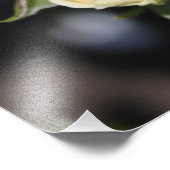 Schöne Blume mit weißer Rose. Blumenfotografie Fotodruck (Ecke)