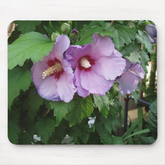 Schöne Blume Mouse Mat Mousepad (Vorne)