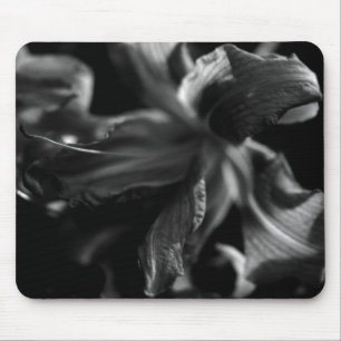 Schöne Blume Mousepad