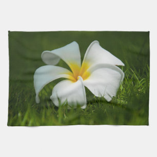 Schöne Blume Nah-up - Küchentücher