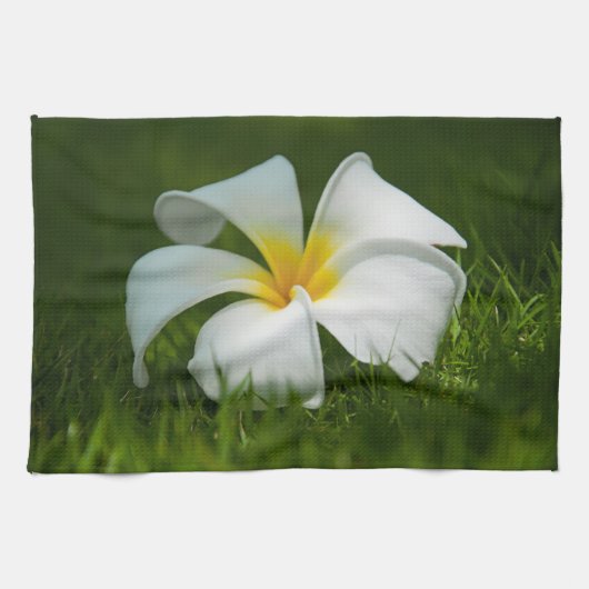 Schöne Blume Nah-up - Küchentücher (Horizontal)