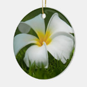 Schöne Blume Nah-up - Ornamente (Links)