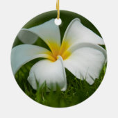 Schöne Blume Nah-up - Ornamente (Hinten)