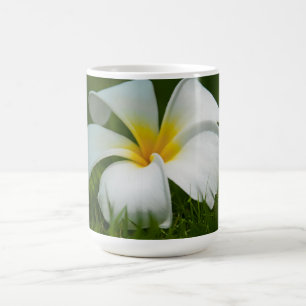 Schöne Blume Nah-up - Tasse