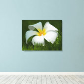 Schöne Blume Nah-up - überzogene Canvas Leinwanddruck (Insitu (Holzboden))