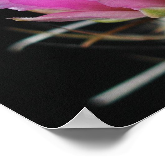 Schöne Blume Poster (Ecke)