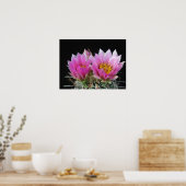 Schöne Blume Poster (Küche)