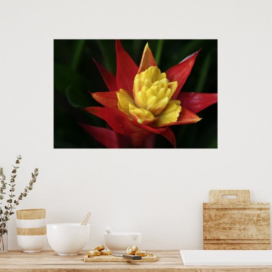 Schöne Blume Poster (Küche)