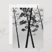 Schöne Blume Postkarte (Vorne/Hinten)