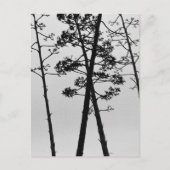 Schöne Blume Postkarte (Vorderseite)