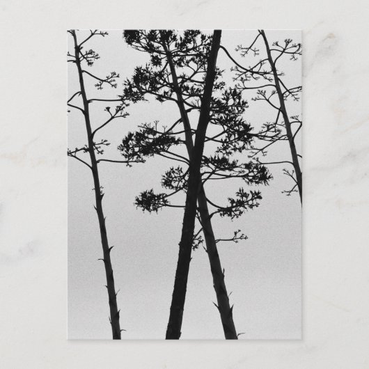 Schöne Blume Postkarte (Vorderseite)