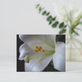 Schöne Blume Postkarte (Stehend Vorderseite)