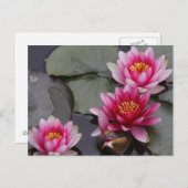 Schöne Blume Postkarte (Vorne/Hinten)