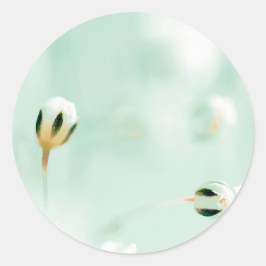 Schöne Blume Rundaufkleber drucken Runder Aufkleber (Vorderseite)