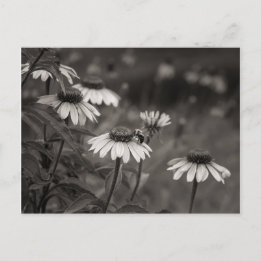 Schöne Blume schöne Kunstfotografie. Postkarte