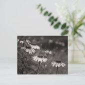 Schöne Blume schöne Kunstfotografie. Postkarte (Stehend Vorderseite)