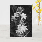 Schöne Blume Schwarz-Weiß-Muttertag Karte (Gelbe Blume)