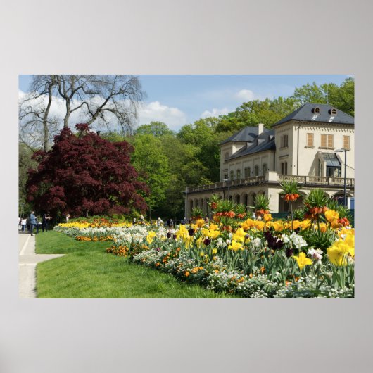 Schöne Blume und das Haus Poster (Vorne)