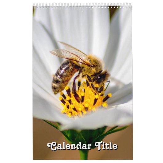 Schöne Blume und motivierend Zitate Kalender (Titelbild)