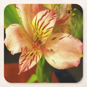 Schöne Blume Untersetzer Set